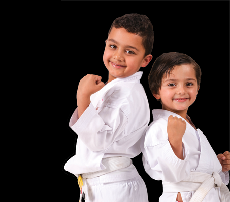 Mini Ninjas Karate