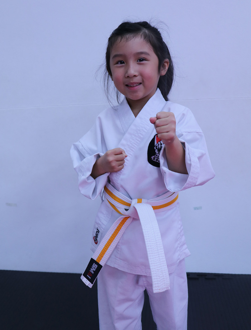 Home Karate Academy Sydney Karate Classes Self Defence