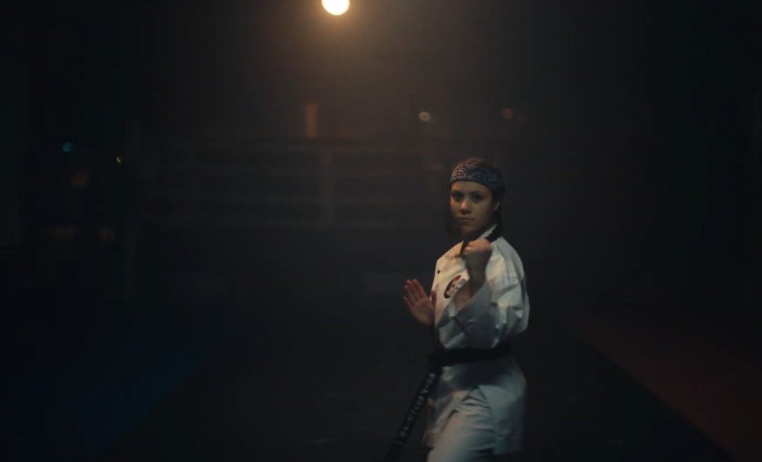 Karate Academy Sydney Featured in a Hyundai Commercial!